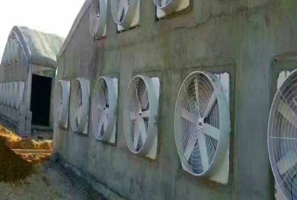 养殖场负压风机 养殖场唐山负压风机