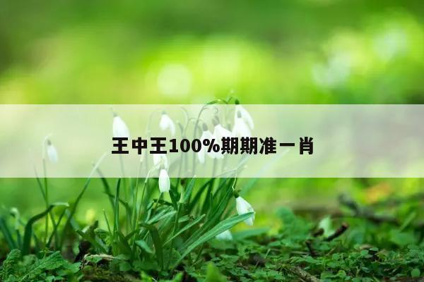 王中王100%期期准一肖