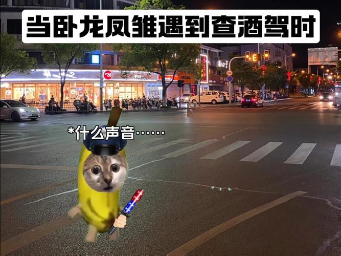 躲查酒驾钻警车车底,躲查酒驾钻警车车底违法吗