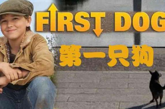 澳门天天好挂牌正版和女子为4只狗立遗嘱与女子为4只狗立遗嘱视频