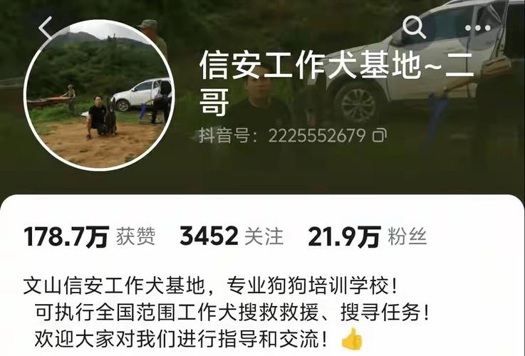 2025新澳门天天开奖直播和7岁男孩遭3只犬撕咬与7岁男孩遭3只犬撕咬怎么办