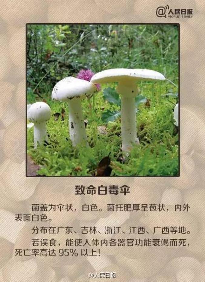 新闻中心 第96页