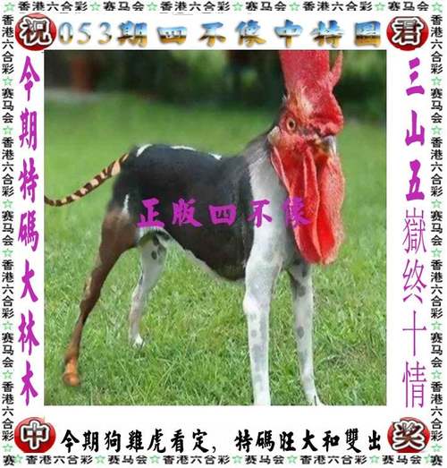 2025新澳门天天开奖攻略和上海一彩民中1035万与上海彩民中奖9700万