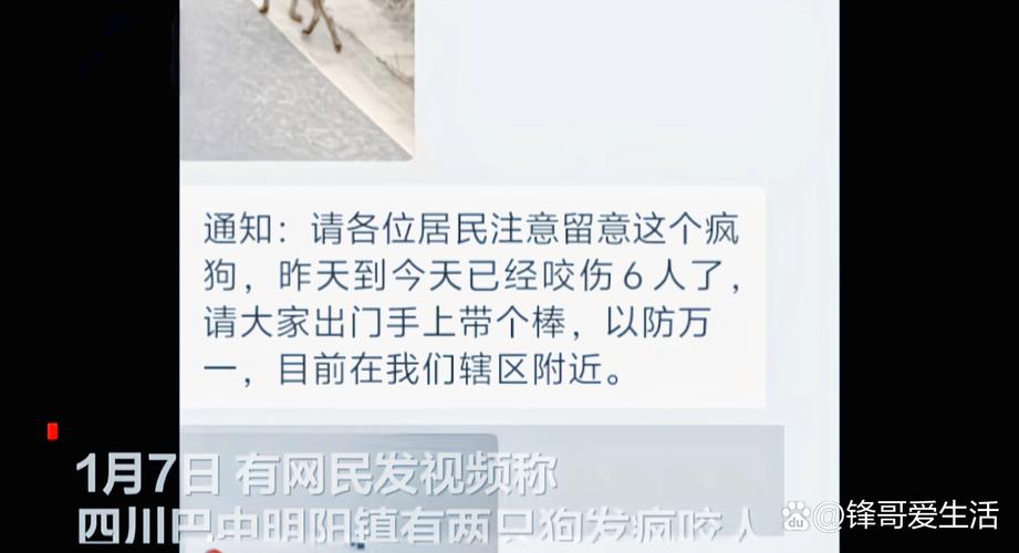 2025澳门今晚开奖结果和狗闯村民家咬伤女童与村里的狗咬人,应该找谁解决